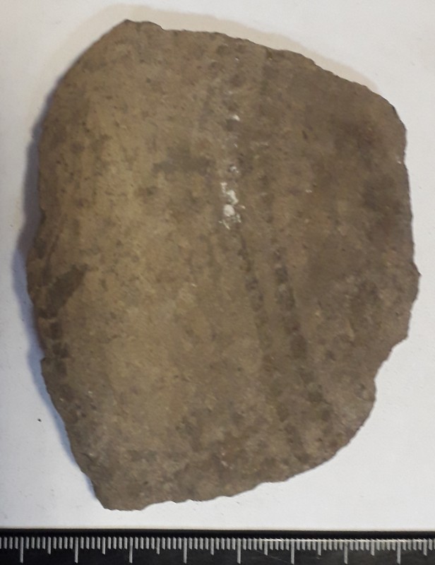 Фрагмент стінки ліпного сіроглиняного посуду жовтого кольору зовні.