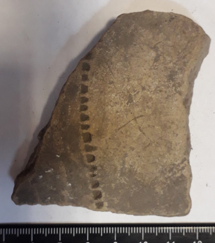 Фрагмент стінки ліпного жовтоглиняного посуду.