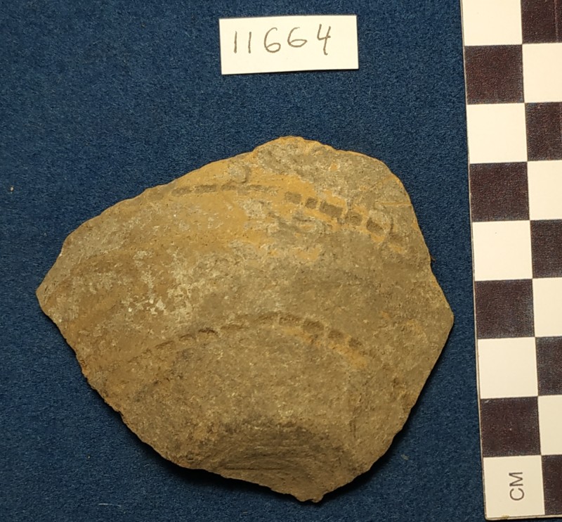 Фрагмент дна та придонної частини ліпної сіроглиняної посудини жовтого кольору ззовні