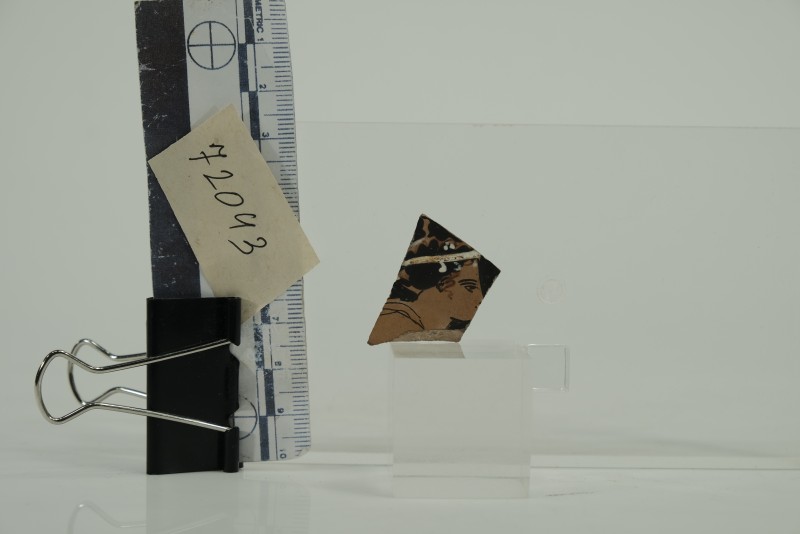 Фрагмент чорнолакової червонофігурної посудини