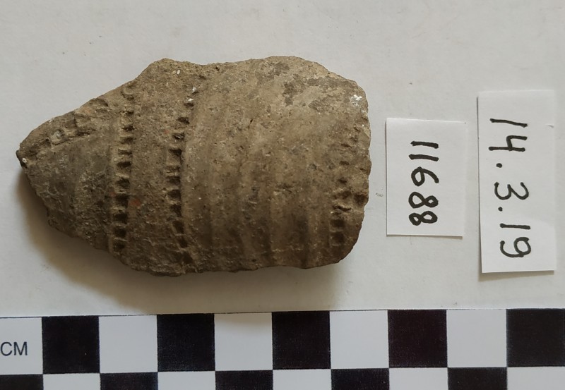 Фрагмент стінки ліпного сіроглиняного посуду.