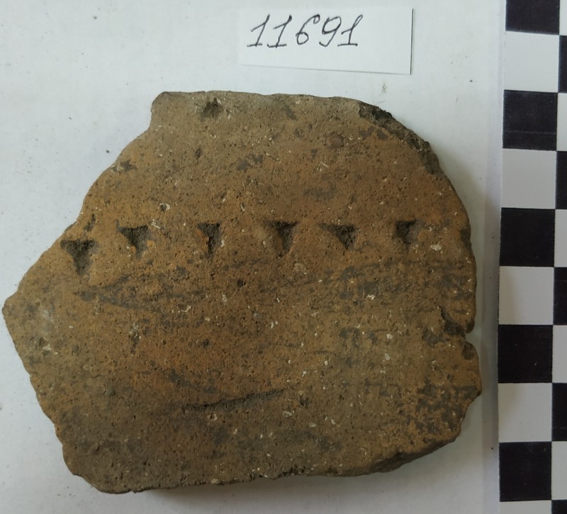 Фрагмент вінець ліпної сіроглиняної посудини