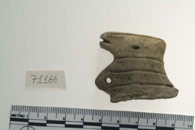 Голова та шия тварини сіроглиняна