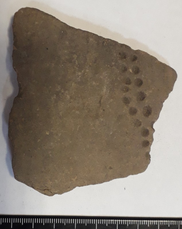 Фрагмент сіроглиняного ліпного посуду жовтого кольору зовні.