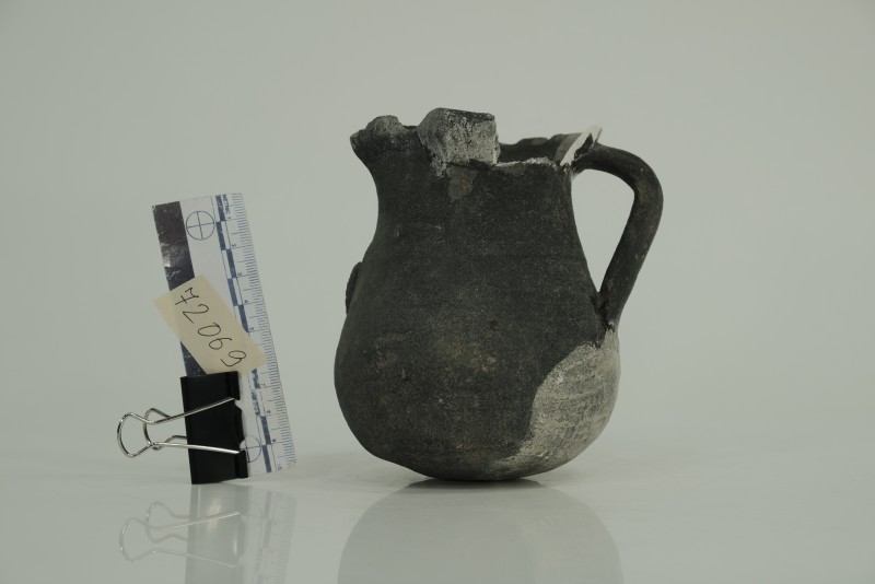 Фрагментована сіра ойнохоя