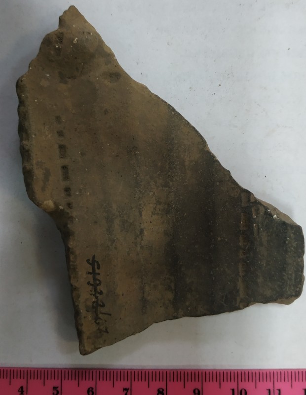 Фрагмент віночка ліпного сіроглиняного посуду зналіпом.