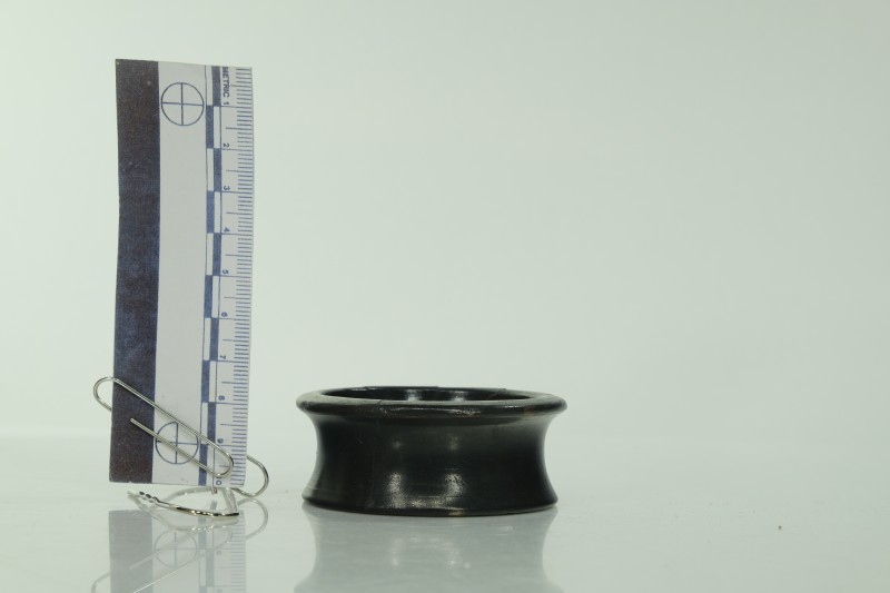 Чорнолакова сільничка