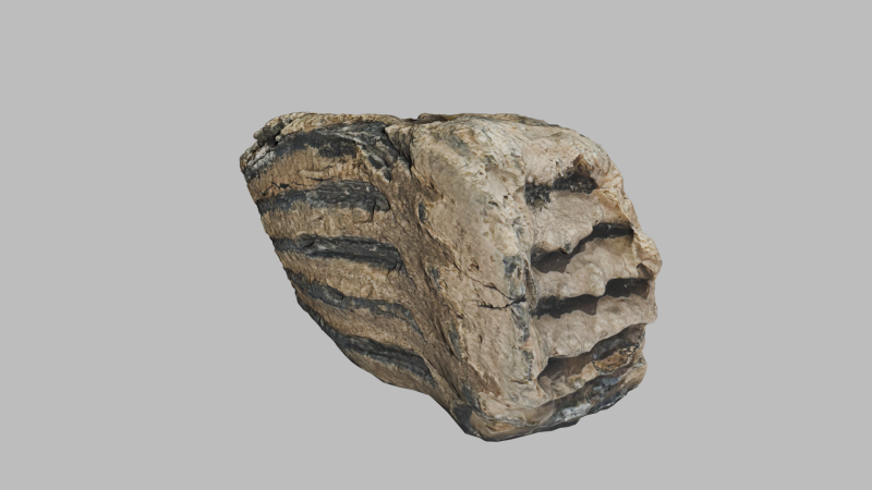 Зуб мамута (частина)