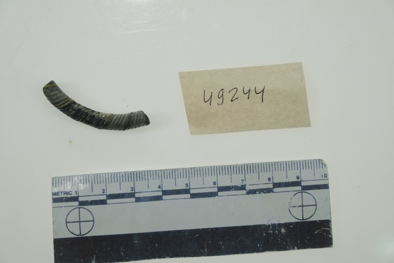 Фрагмент скляного браслету