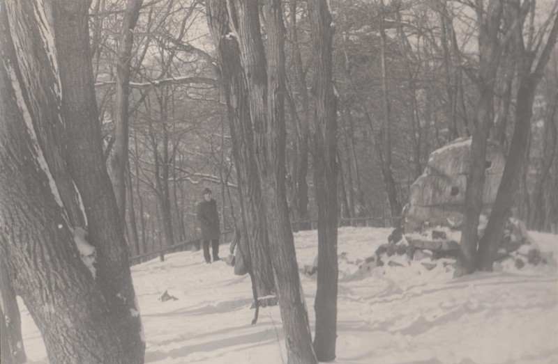 Фотографія. В. Івасюк позаду дерев. 1973 рік.