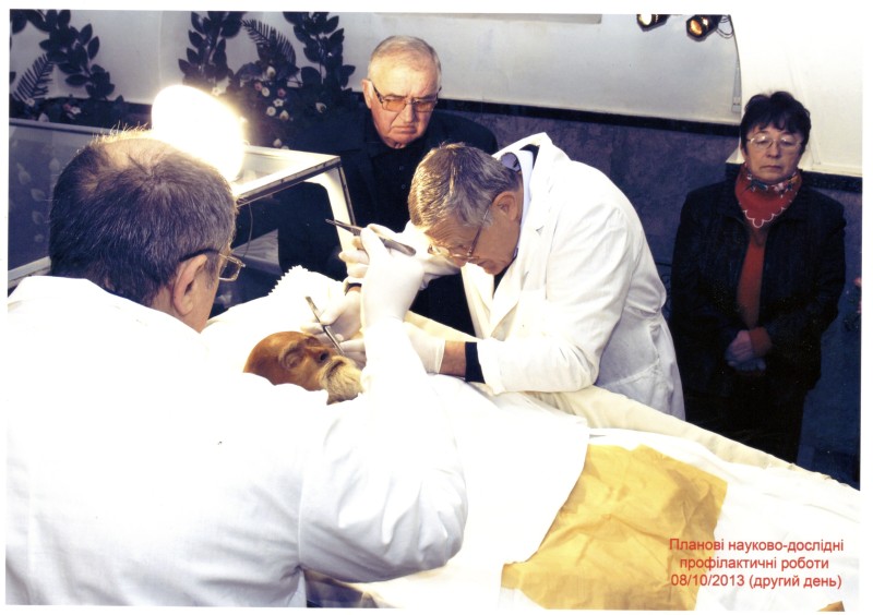 Фото. Автор - Кланца О.П. Планові науково-профілактичні роботи зі збереження набальзамованого тіла М. І. Пирогова 08.10.2013 р. Впорядкування зовнішнього вигляду деталей косметичної перуки.