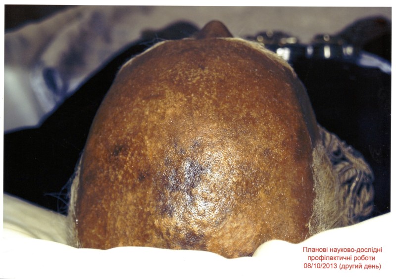 Фото. Автор - Кланца О.П. Планові науково-профілактичні роботи зі збереження набальзамованого тіла М. І. Пирогова 08.10.2013 р. Тіло М. І. Пирогова у саркофазі по закінченні роботи.