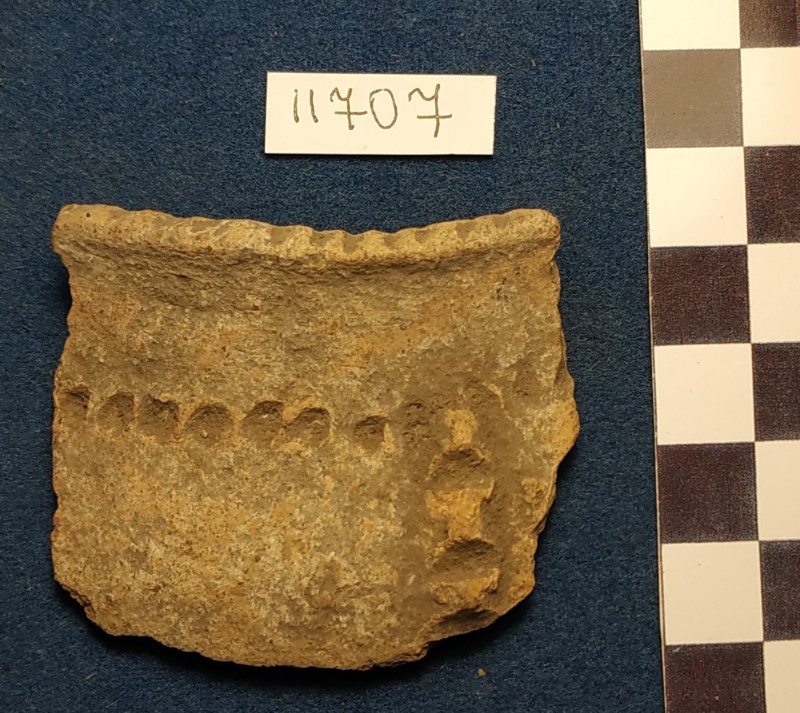 Фрагмент вінець ліпної жовтоглиняної посудини