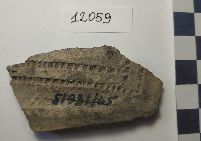 Фрагмент стінки ліпної сіроглиняної посудини