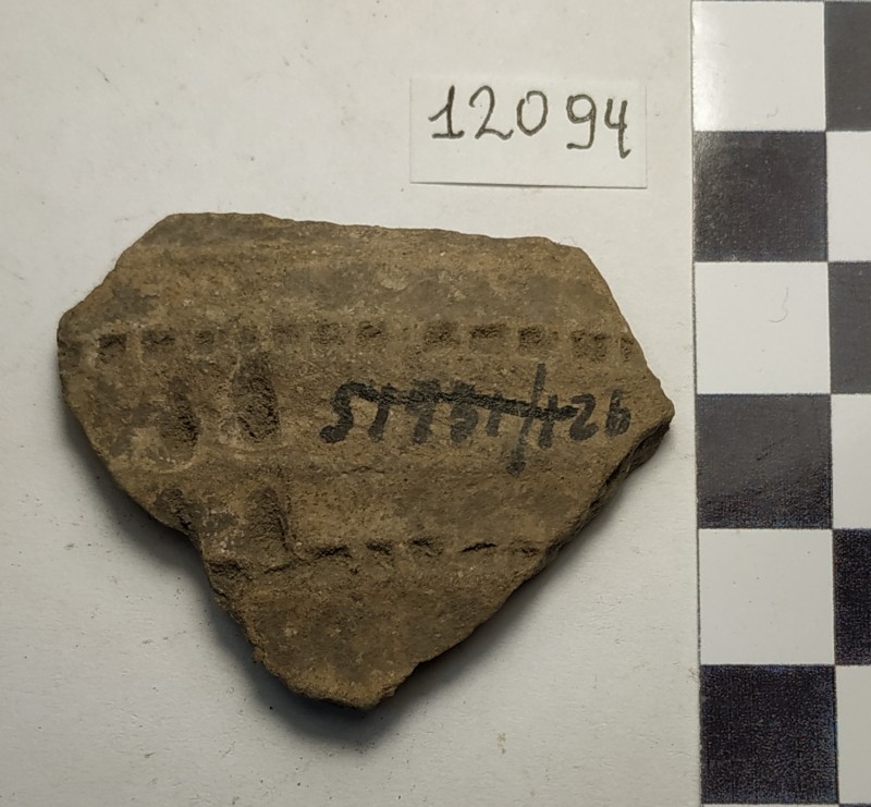 Фрагмент стінки ліпної сіроглиняної посудини