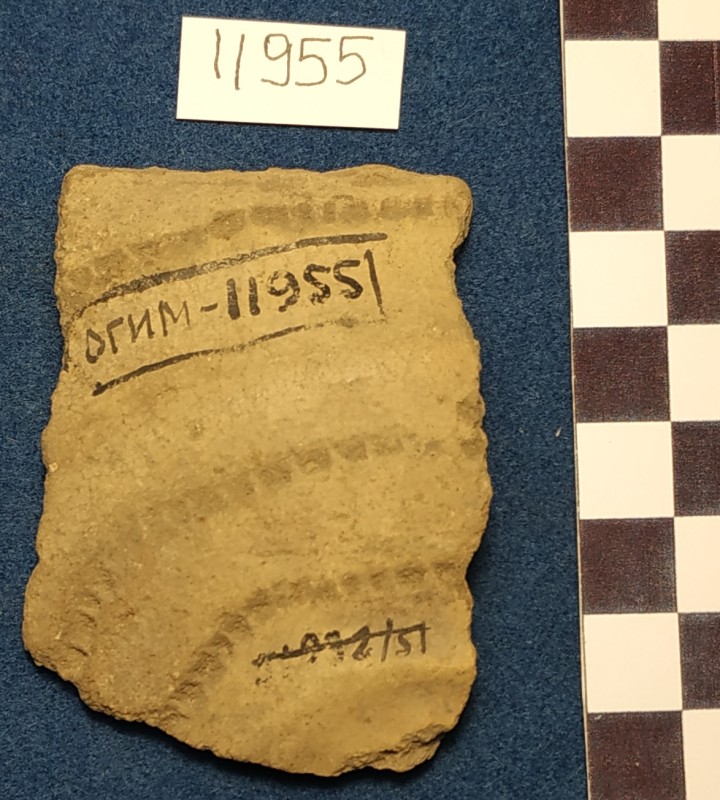 Фрагмент стінки ліпної сіроглиняної посудини