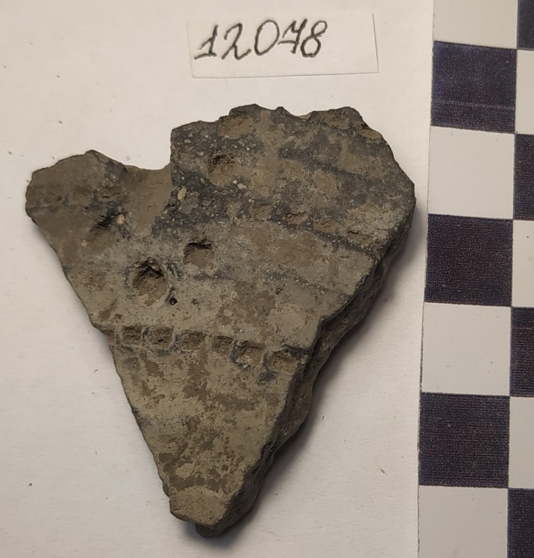 Фрагмент стінки ліпної сіроглиняної посудини