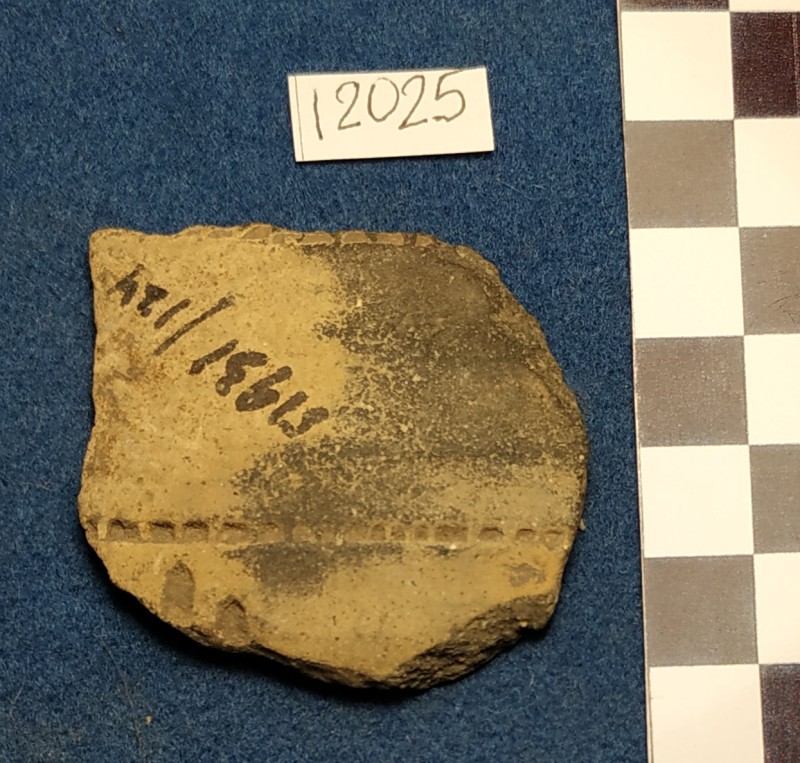 Фрагмент стінки ліпної сіроглиняної посудини