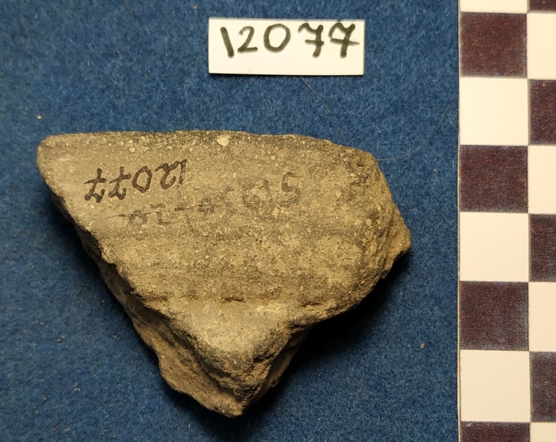 Фрагмент вінець ліпної сіроглиняної посудини