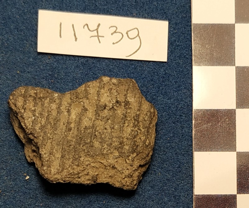 Фрагмент стінки ліпної сіроглиняної посудини