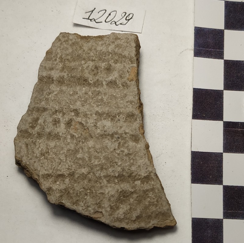 Фрагмент стінки ліпної сіроглиняної  посудини