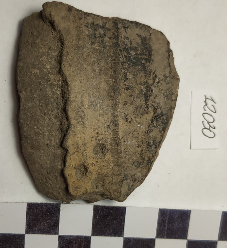 Фрагмент стінки ліпної сіроглиняної  посудини