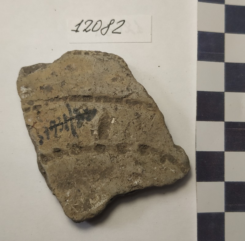 Фрагмент стінки ліпної сіроглиняної посудини