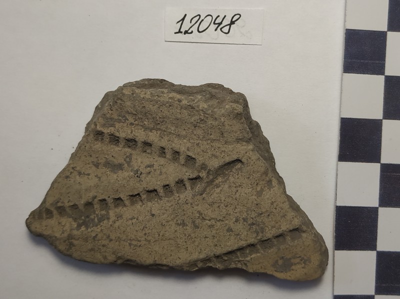 Фрагмент стінки ліпної сіроглиняної посудини