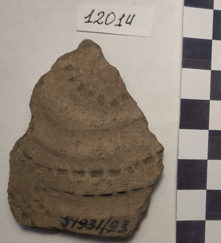 Фрагмент стінки ліпної сіроглиняної посудини