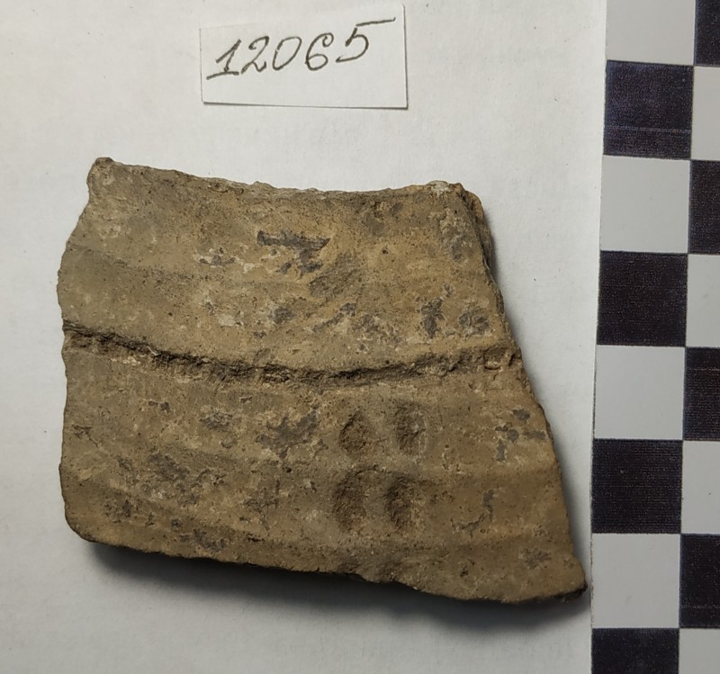 Фрагмент стінки ліпної жовтоглиняної посудини