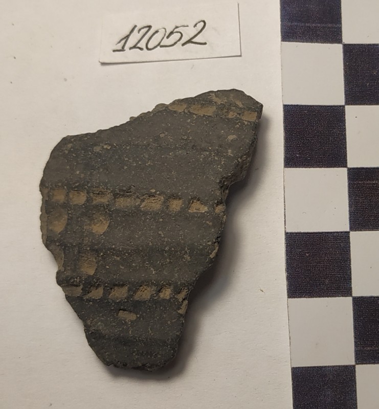 Фрагмент стінки ліпної сіроглиняної посудини