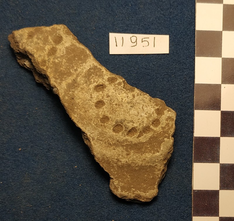 Фрагмент стінки ліпної сіроглиняної посудини