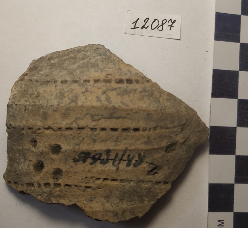 Фрагмент стінки ліпної сіроглиняної посудини жовтого кольору ззовні