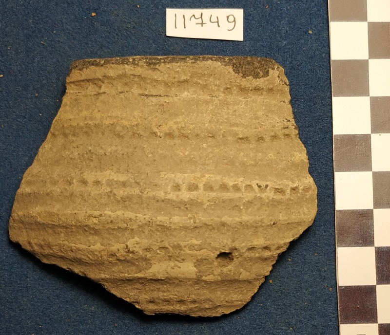 Фрагмент вінець ліпної сіроглиняної посудини жовтого кольору ззовні