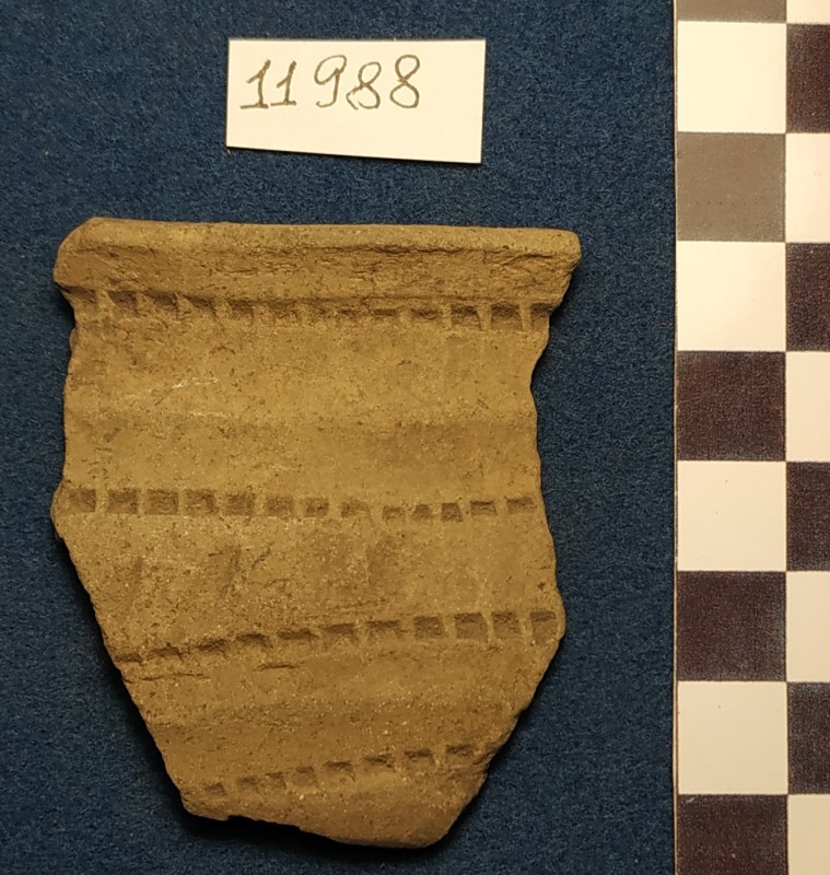 Фрагмент вінець ліпної сіроглиняної посудини жовтого кольору ззовні