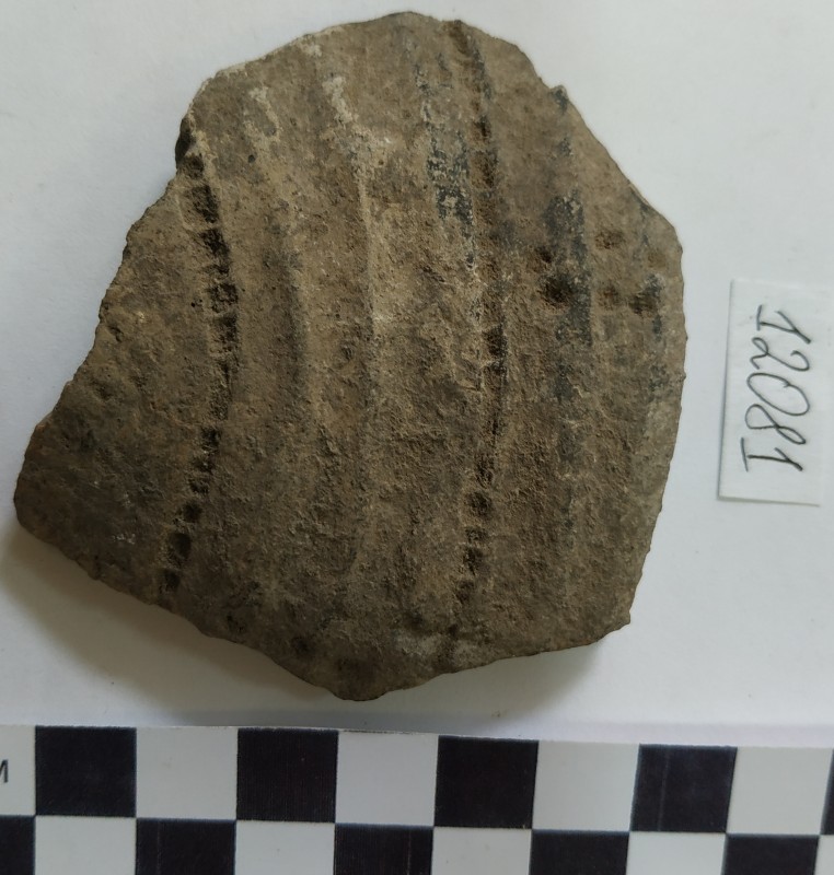 Фрагмент стінки ліпної сіроглиняної посудини