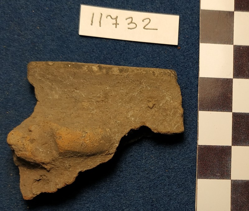 Фрагмент вінець  ліпної сіроглиняної посудини