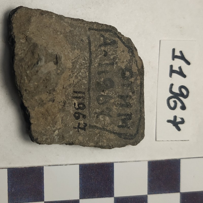 Фрагмент вінець ліпної сіроглиняної посудини