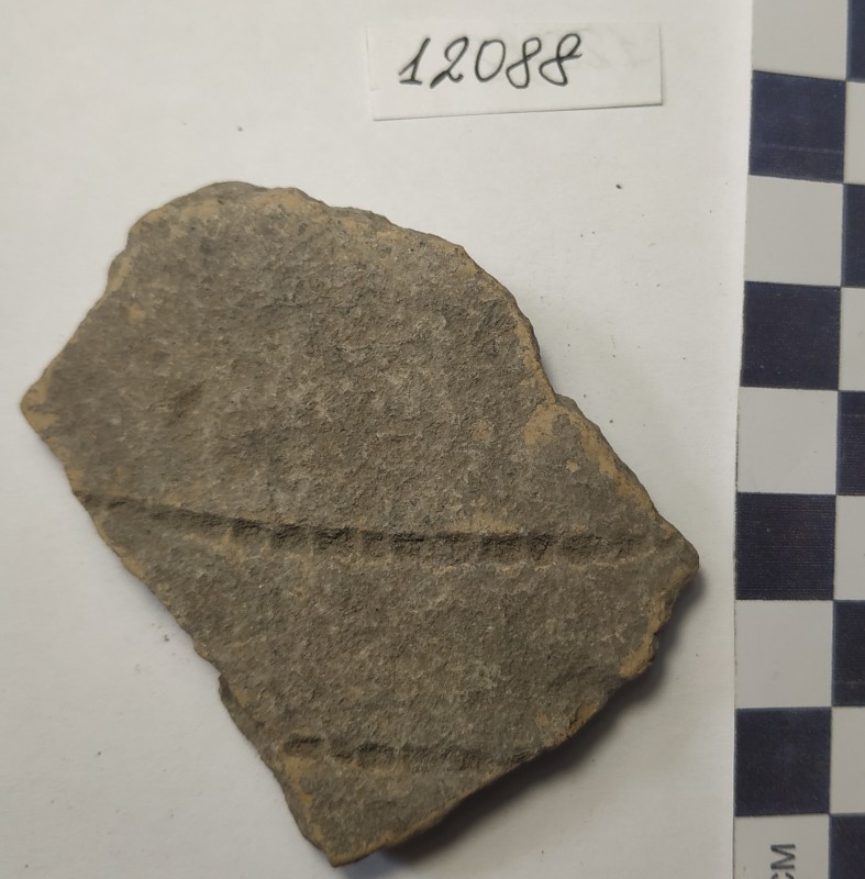 Фрагмент стінки ліпної жовтоглиняної посудини