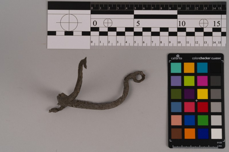 Шпора з вигнутими дужками