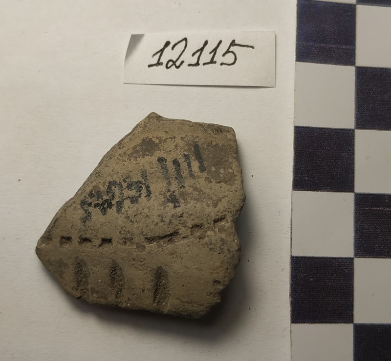 Фрагмент стінки ліпної сіроглиняної посудини