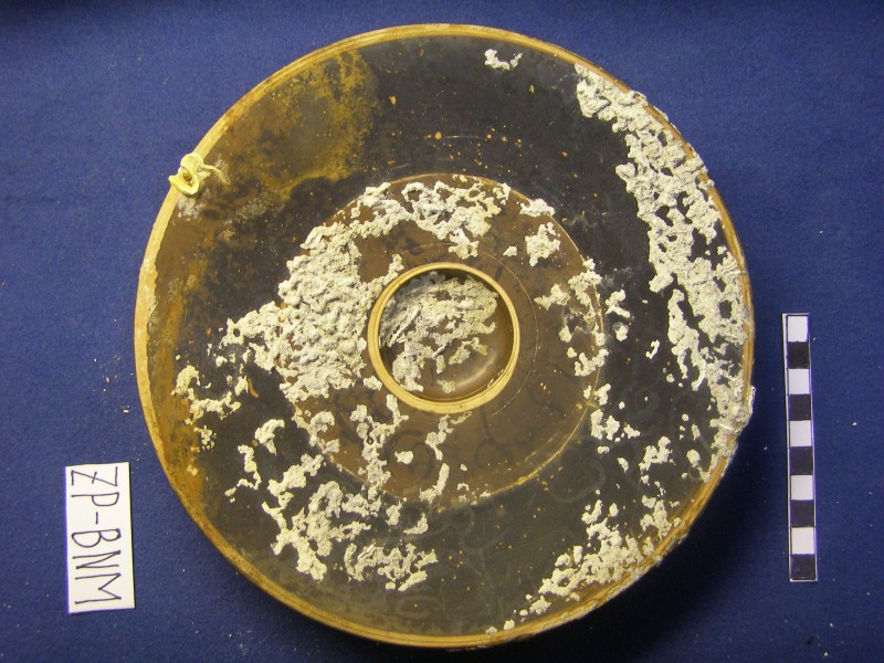 Чорнолакове рибне блюдо