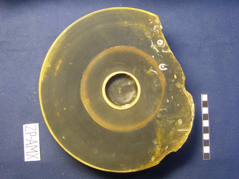 Чорнолакове рибне блюдо