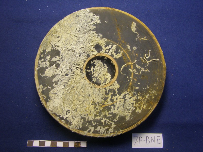 Чорнолакове рибне блюдо