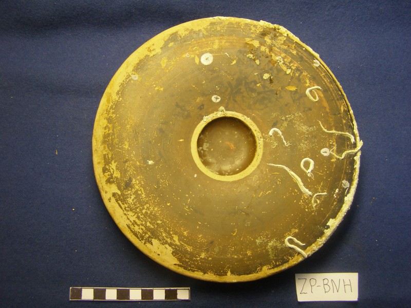 Чорнолакове рибне блюдо