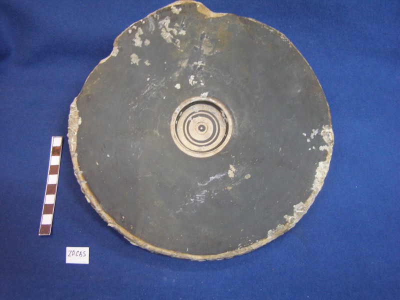 Чорнолакове рибне блюдо