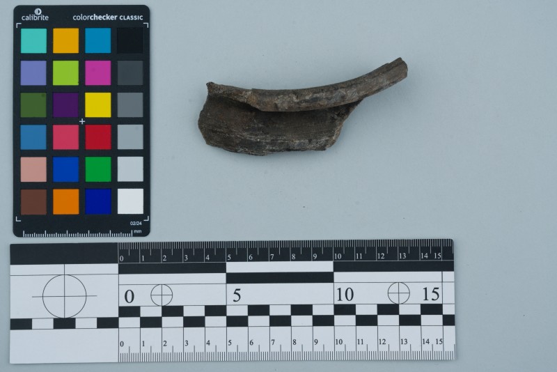 Вінчик посудини