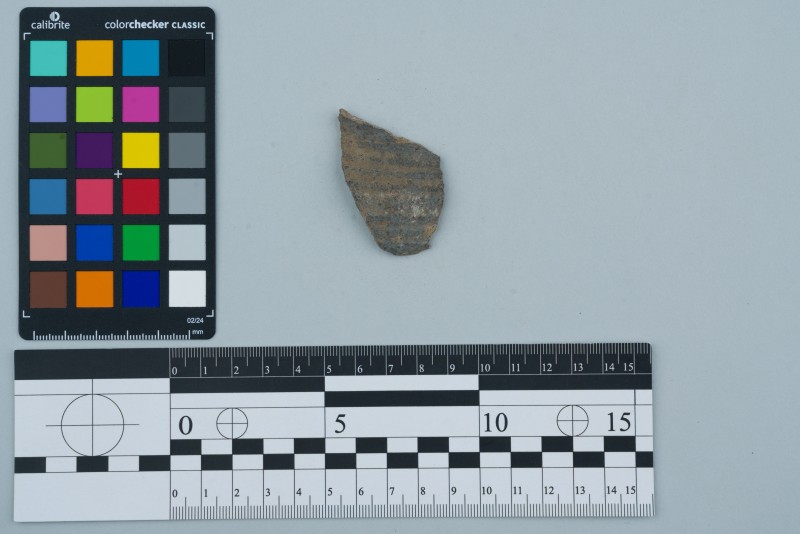 Боковина посудини