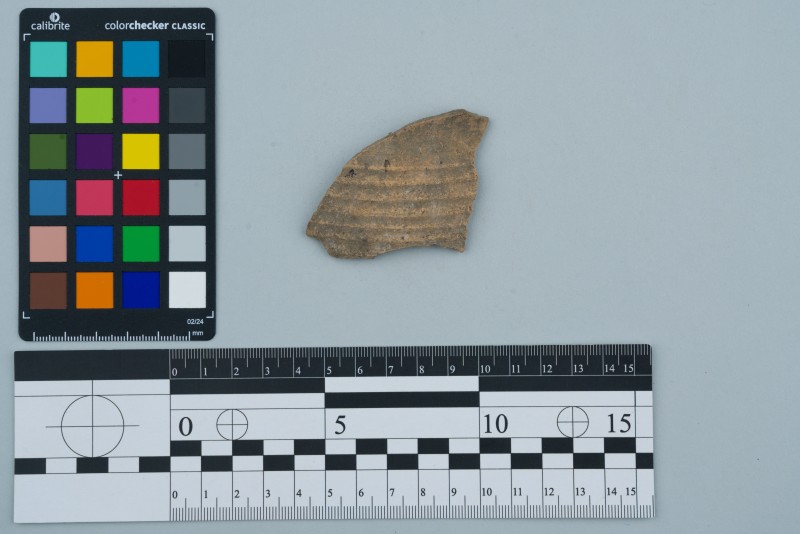 Боковина посудини