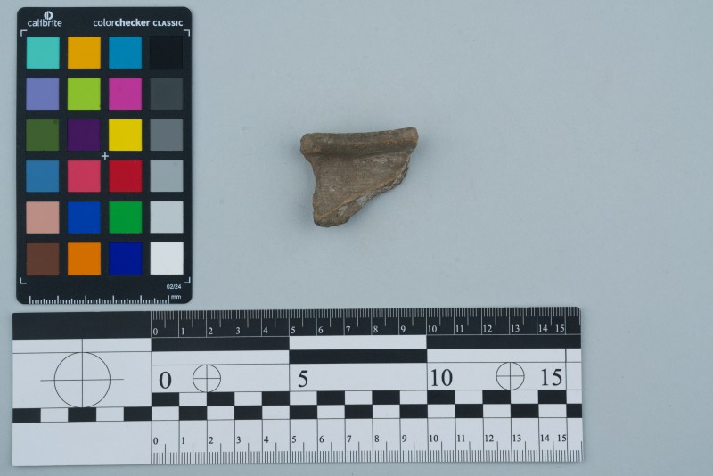 Вінчик посудини